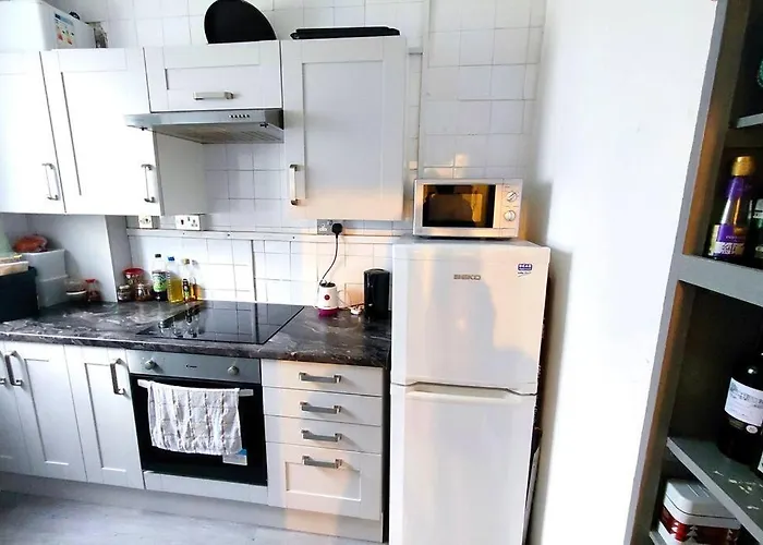 Central London Spacious Flat With 2 To 3 Bedrooms